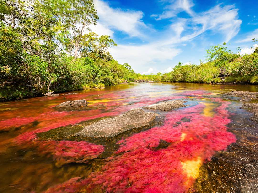 River landscape in Colombia, Cano Cristales – Version 2