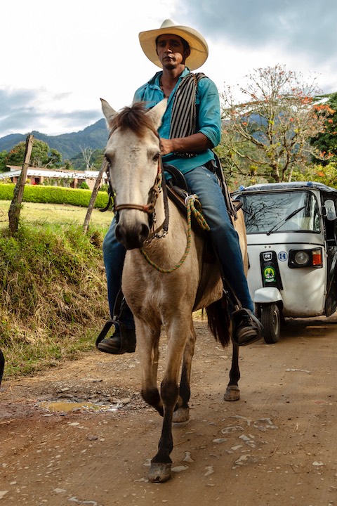 cowboy-jardin-colombia Cowboy in jardin, Colombia