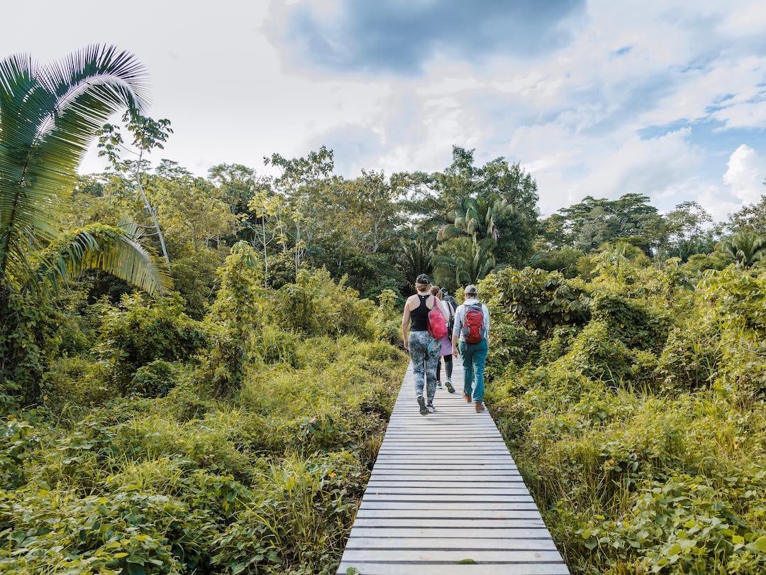 Solo travel group hiking the amazon rainforest in Peru