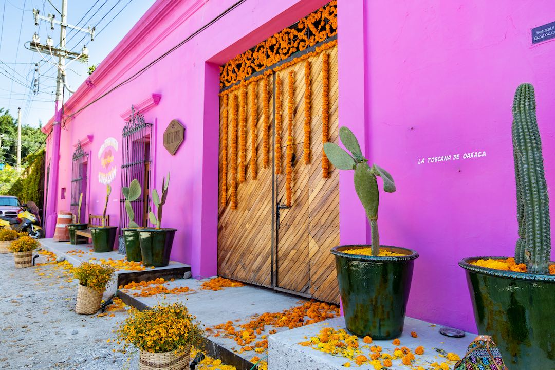 oaxaca-mexico-21 Bright pink building in Oaxaca City, Mexico