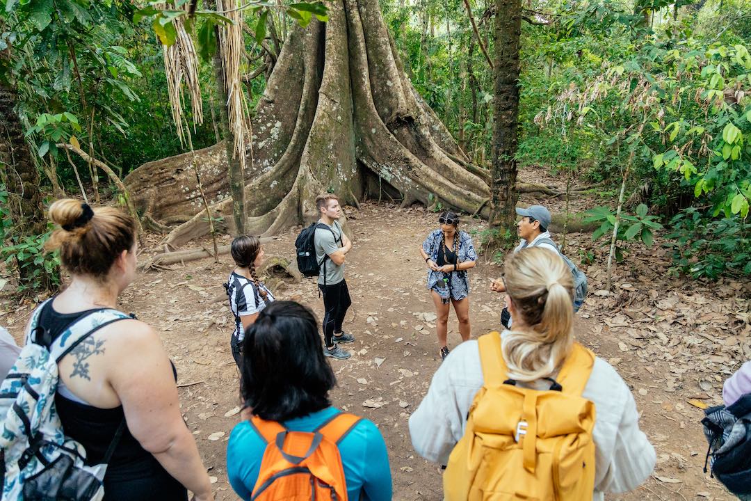 peru-amazon-10 Looking at ancient trees in the Amazon, Peru