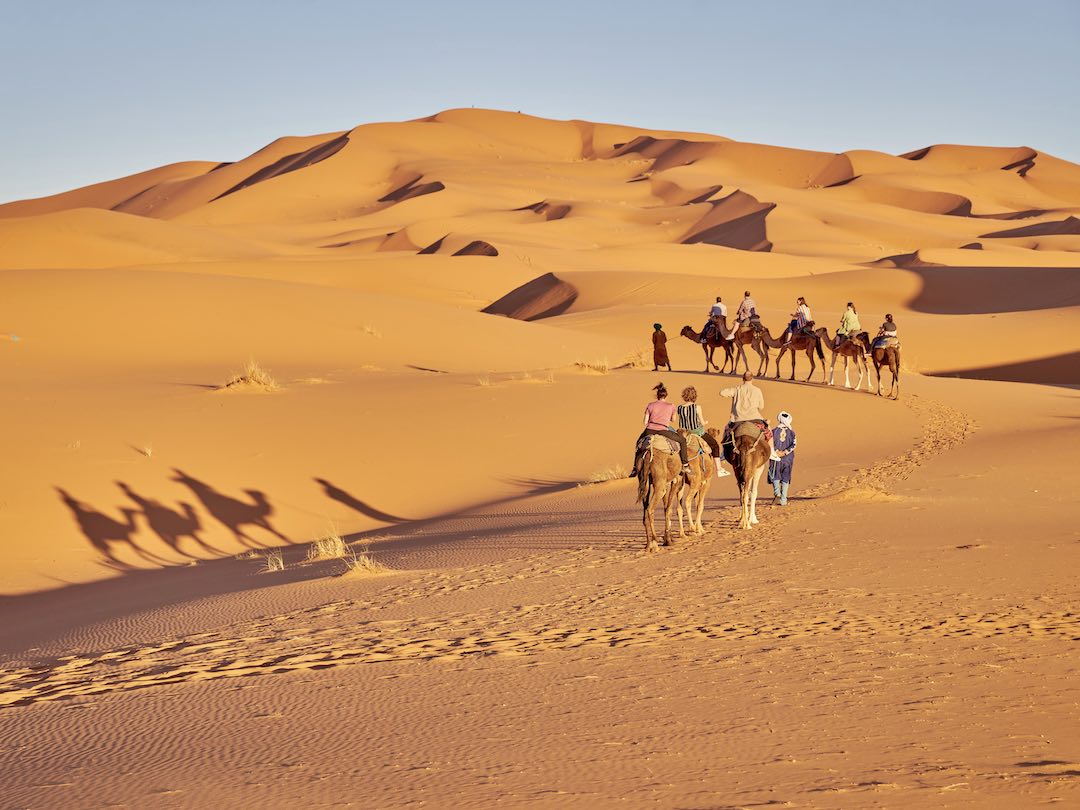 Camel riding in the sahara during Morocco group tour