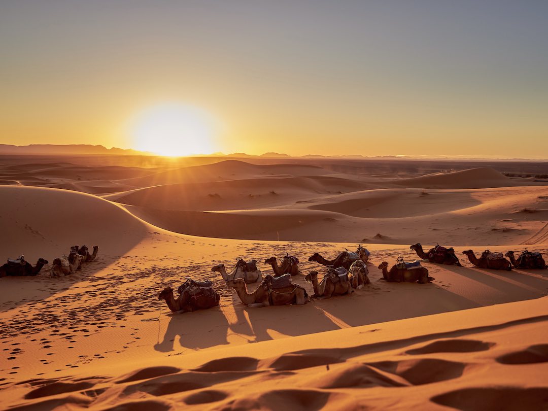 Sunset in the Sahara, Morocco