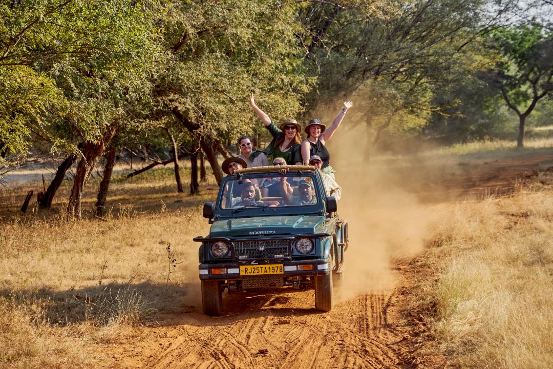 Jeep safari in Ranthambore national park during an India group tour