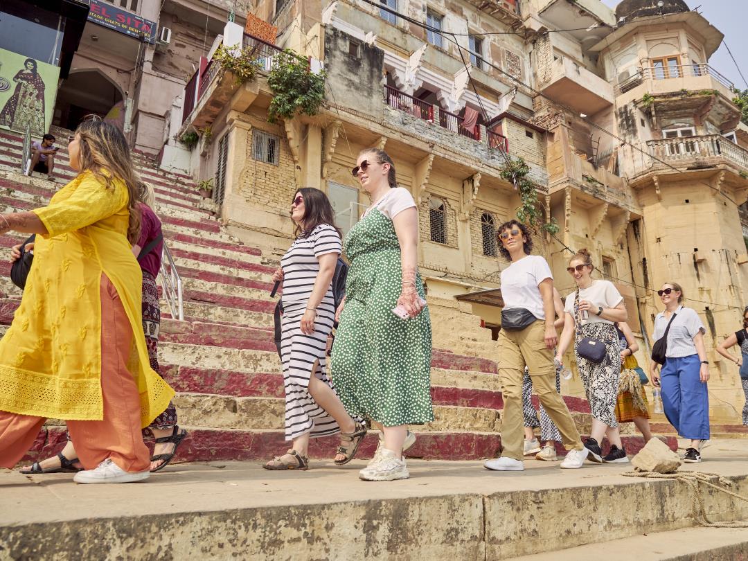 Cow in the streets of Jodhpur during India Group Tour
