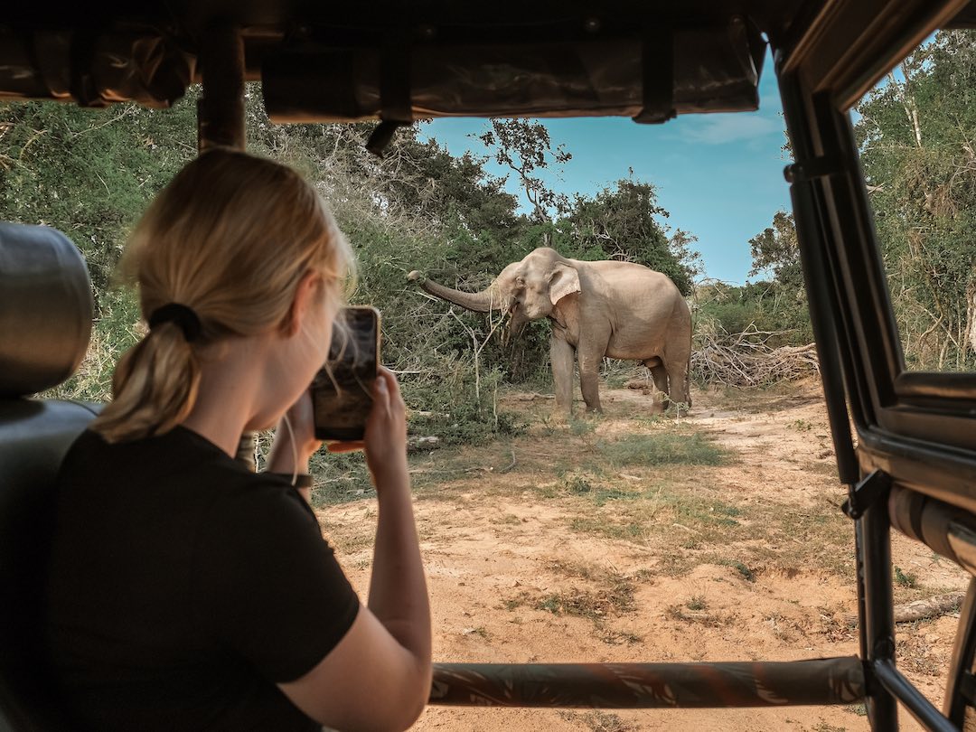 Wildlife safari during the Kenya & Tanzania group tour