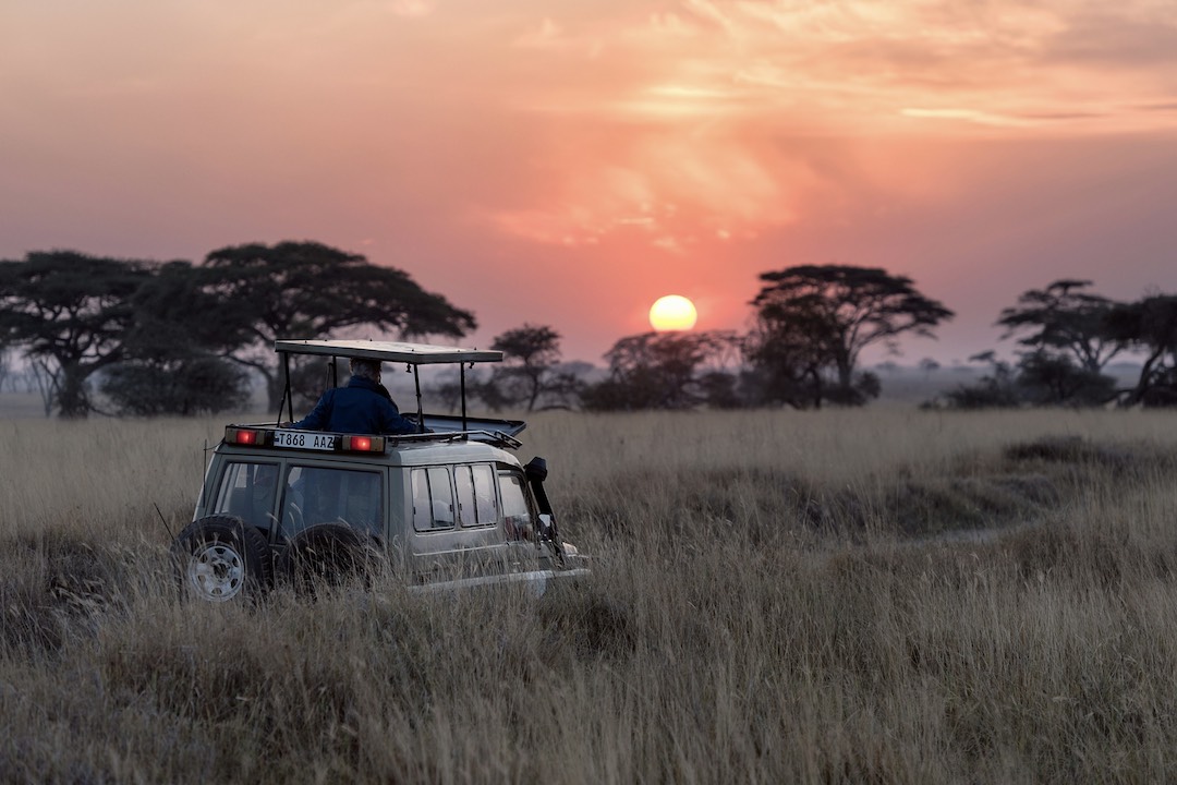 Wild animals around a waterhole in Africa