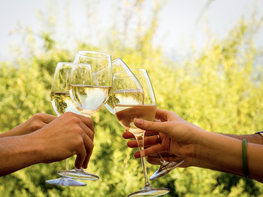 Wine tasting during the South Africa & Victoria Falls trip with Other Way Round Travel
