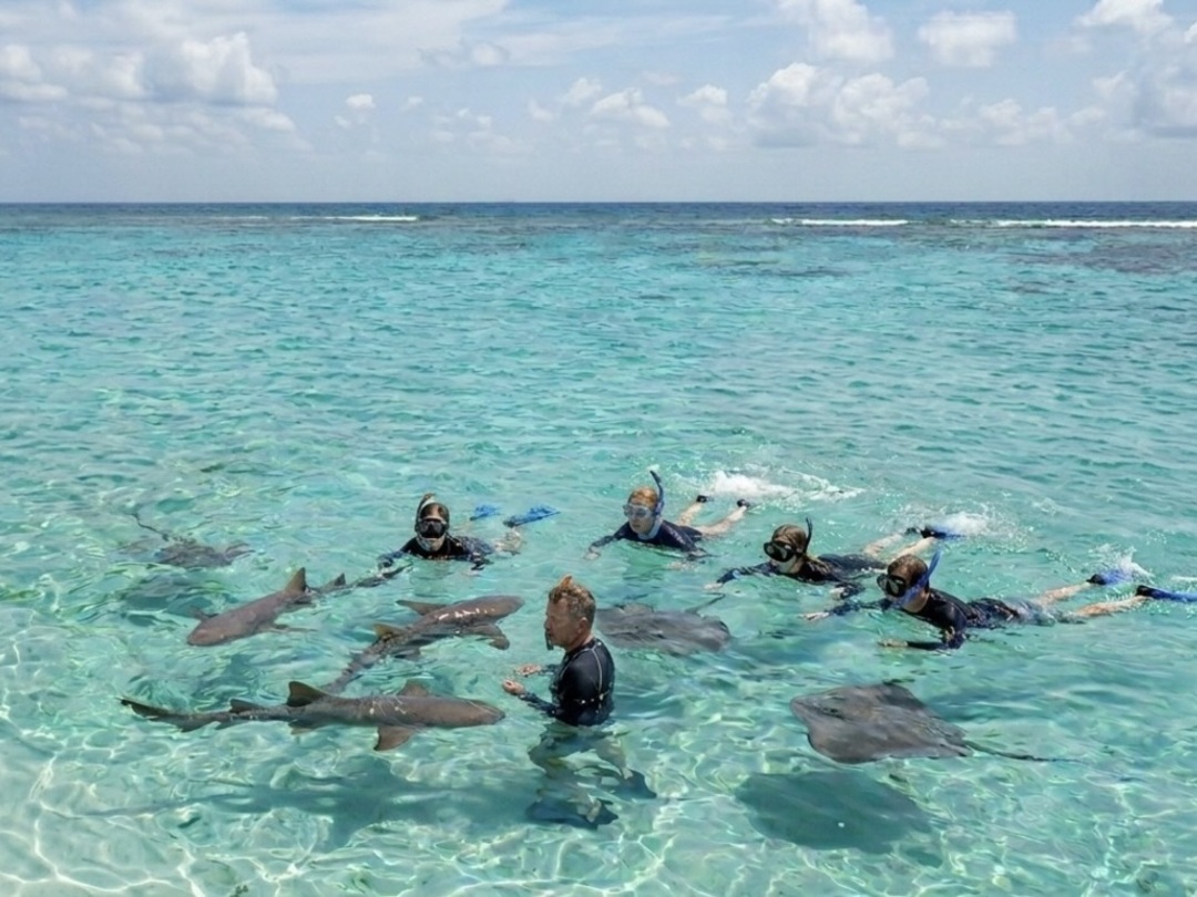 Snorkeling with nurse sharks in Belize during the Guatemala & Belize group tour with Other Way Round Travel