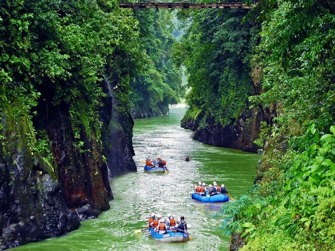 Rafting on the Pacuare river Toucan in the rainforest during the Other Way Round Travel group tour of Costa Rica